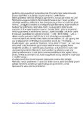 Gyvybės šaltinis 3 puslapis