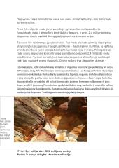 Gyvybės šaltinis 6 puslapis