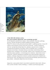 Gyvybės šaltinis 8 puslapis