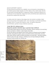 Gyvybės šaltinis 10 puslapis