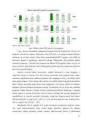 Finansinės krizės pabaigos indikatoriai 11 puslapis