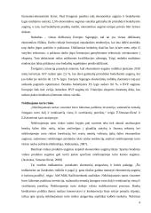 Finansinės krizės pabaigos indikatoriai 4 puslapis