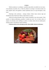 Kūdikių mityba 3 puslapis