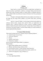 Finanansavimo būdai ir apskaičiavimo metodai 4 puslapis