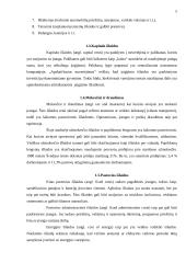 Finanansavimo būdai ir apskaičiavimo metodai 5 puslapis