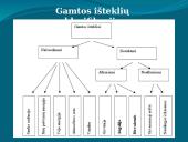 Medžiagų pasikeitimo (transmaterializacijos) galimybės 12 puslapis