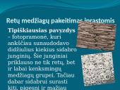 Medžiagų pasikeitimo (transmaterializacijos) galimybės 9 puslapis