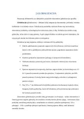 Tarptautinės prekybos organizacijos. Globalizacija 6 puslapis