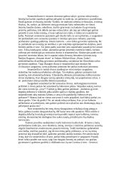 Ar svarbu išsaugoti senamiesčius, senus dvarus, jų parkus? 2 puslapis