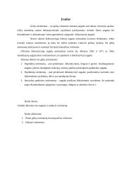 Gėlių sortimentai 3 puslapis