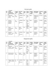 Gėlių sortimentai 5 puslapis