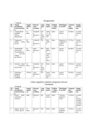 Gėlių sortimentai 9 puslapis