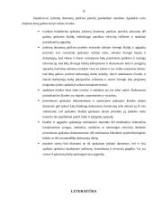 Įrašomų duomenų patikros poreikis parduodant naudotus ilgalaikio turto objektus 12 puslapis