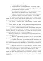 Įrašomų duomenų patikros poreikis parduodant naudotus ilgalaikio turto objektus 7 puslapis