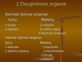 Iš kur aš atsiradau? Apvaisinimas 2 puslapis