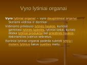 Iš kur aš atsiradau? Apvaisinimas 3 puslapis