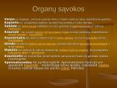 Iš kur aš atsiradau? Apvaisinimas 7 puslapis