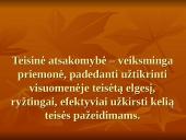 Valstybės tarnautojų teisiniai atsakomybės ypatumai 3 puslapis