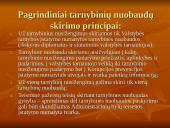 Valstybės tarnautojų teisiniai atsakomybės ypatumai 10 puslapis
