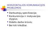 Horizontalioji komunikacija organizacijoje 4 puslapis