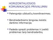 Horizontalioji komunikacija organizacijoje 5 puslapis