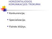 Horizontalioji komunikacija organizacijoje 6 puslapis