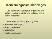 Pavojingos medžiagos 6 puslapis