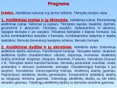 Atsitiktiniai vyksmai  2 puslapis
