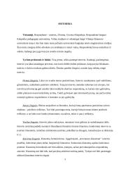 Interviu tyrimo metodas. Bendravimas ir elgesys su negalia turinčiu žmogumi 5 puslapis