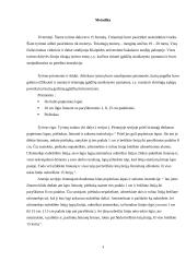 Įgūdžių referatas 2 puslapis