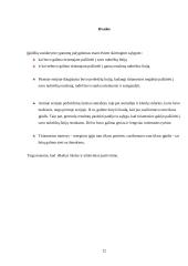 Įgūdžių referatas 11 puslapis