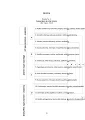 Diskutuojančių žmonių sąveikos mažojoje grupėje stebėjimas pagal R.F.Bales metodiką 15 puslapis