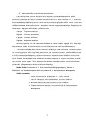 Diskutuojančių žmonių sąveikos mažojoje grupėje stebėjimas pagal R.F.Bales metodiką 4 puslapis