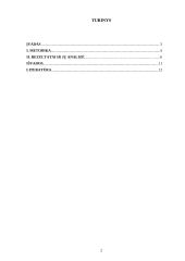 Fono įtaka spalvų suvokimui 2 puslapis