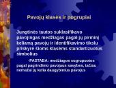 Pavojingosios medžiagos, jų charakteristikos ir poveikis žmogui ir aplinkai. Valstybinės reikšmės pavojingų objektų registras 10 puslapis