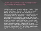 Liudo Vasario kunigystės kelias 9 puslapis