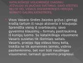 Liudo Vasario kunigystės kelias 10 puslapis