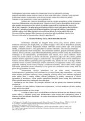 Teisės normų sisteminimas, praktinių pavyzdžIų analizė  8 puslapis