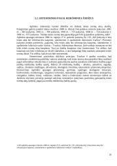 Teisės normų sisteminimas, praktinių pavyzdžIų analizė  10 puslapis