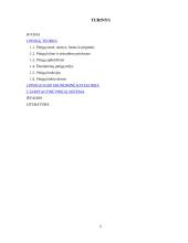 Pinigai ir jų funkcijos. Šiuolaikinių pinigų formos 2 puslapis