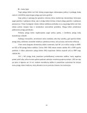 Pinigai ir jų funkcijos. Šiuolaikinių pinigų formos 14 puslapis