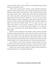 Socialinės problemos kaimo vietovėse 12 puslapis