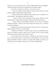 Socialinės problemos kaimo vietovėse 17 puslapis