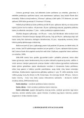 Socialinės problemos kaimo vietovėse 3 puslapis