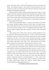 Socialinės problemos kaimo vietovėse 5 puslapis