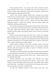 Socialinės problemos kaimo vietovėse 6 puslapis