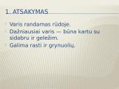 “Metalai aplink mus” Varis 13 puslapis