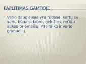 “Metalai aplink mus” Varis 3 puslapis