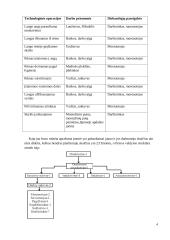 Langų montavimo valdymas. Įmonės analizė 4 puslapis