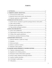 Mergvakarių organizavimo įmonės verslo planas  2 puslapis